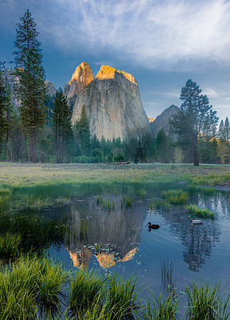 Cathedral Rocks, Dawn, #77