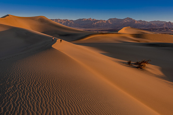 Mesquite Dunes, Duo, Dawn