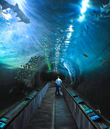 Aquarium