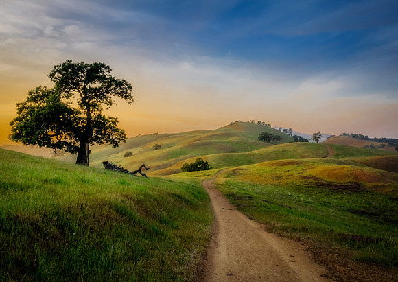 In the Spring Hills, #100